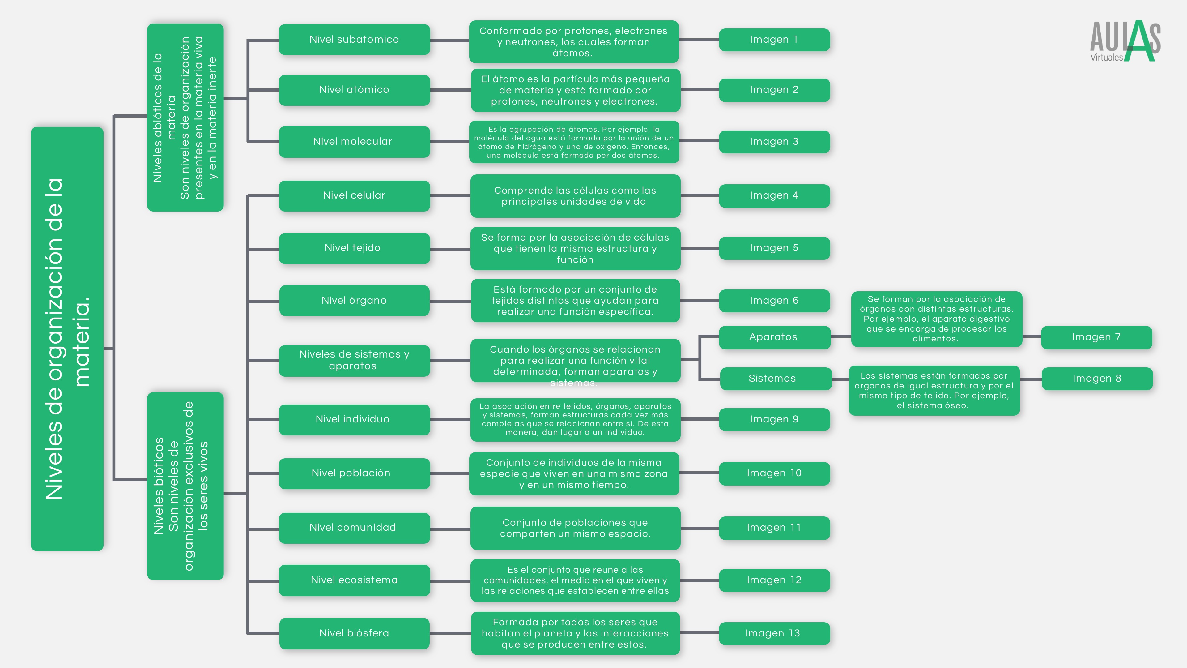 Niveles de organización de la materia