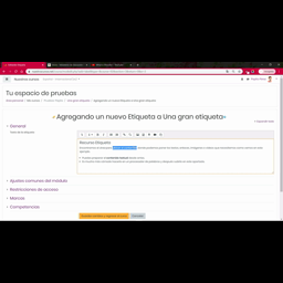 Vídeo explicativo recurso etiqueta